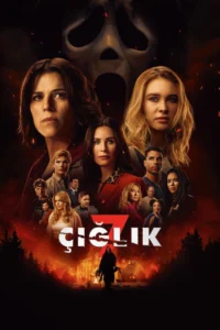 Seri (Boxset) Filmler